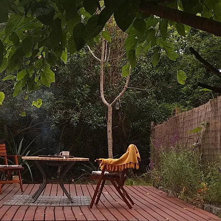 The Urban Cabin Knysna Exterior photo