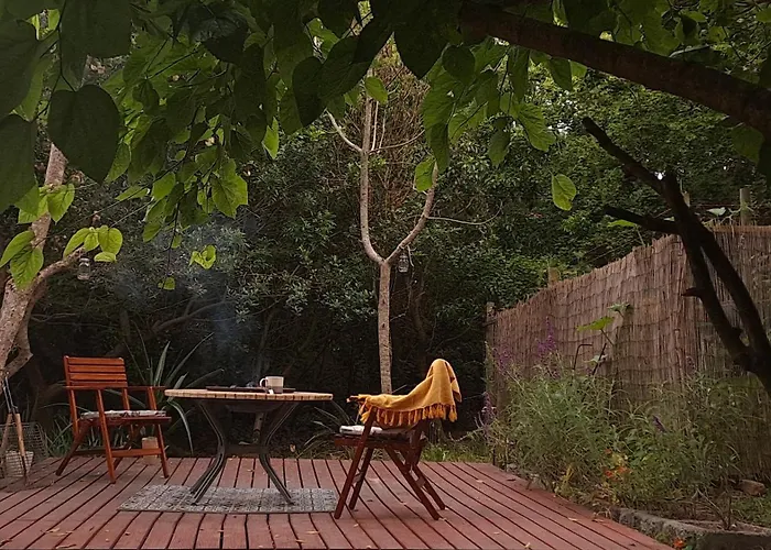 The Urban Cabin